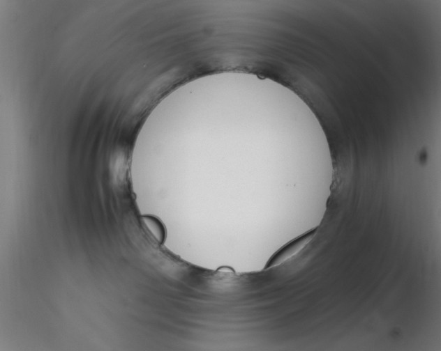 X0000116370142200912231323