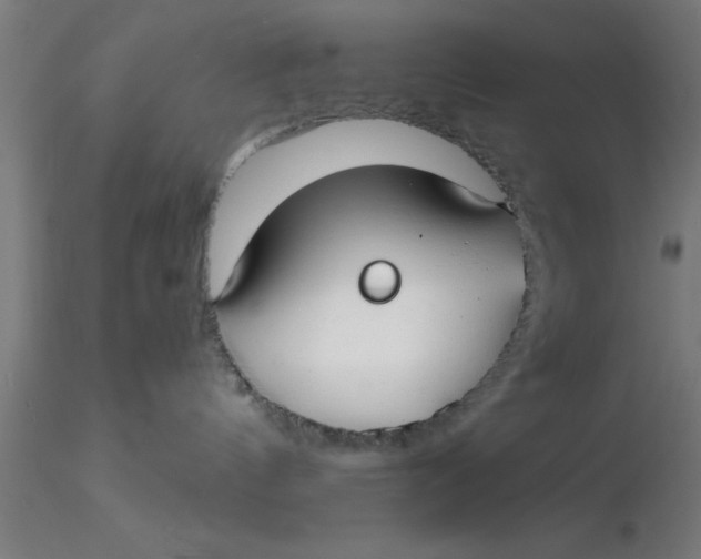 X0000116370144200912231323