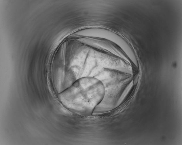 X0000116370145200912231323