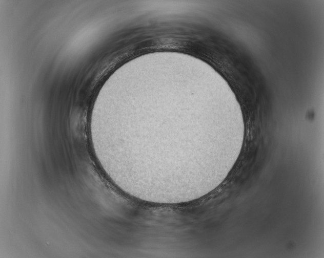 X0000116370146200912231323