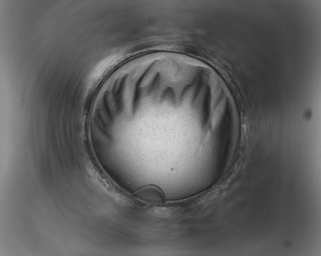 X0000116370149200912231323