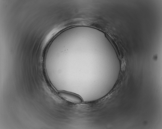 X0000116370150200912231323