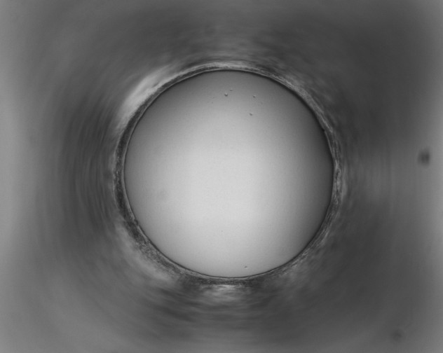 X0000116370151200912231323