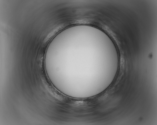 X0000116370153200912231323