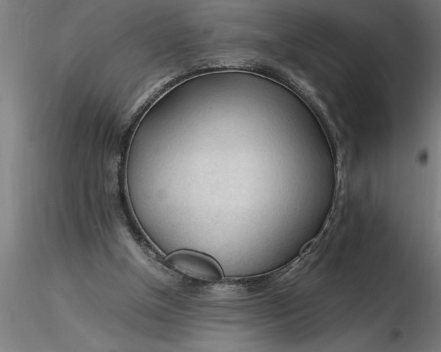 X0000116370154200912231323