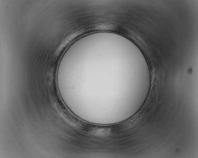 X0000116370155200912231323