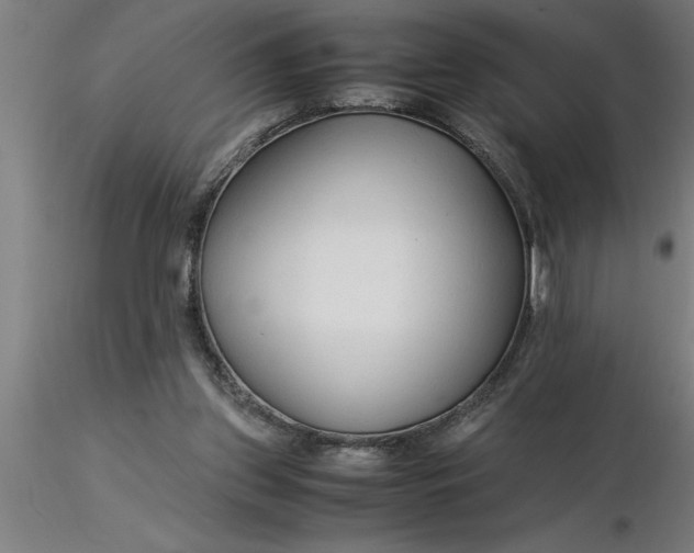 X0000116370157200912231323