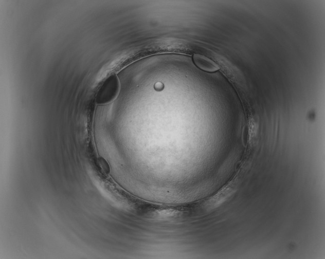 X0000116370158200912231323