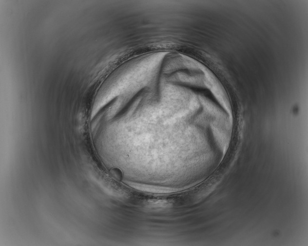 X0000116370161200912231323