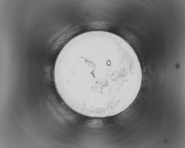 X0000116370162200912231323