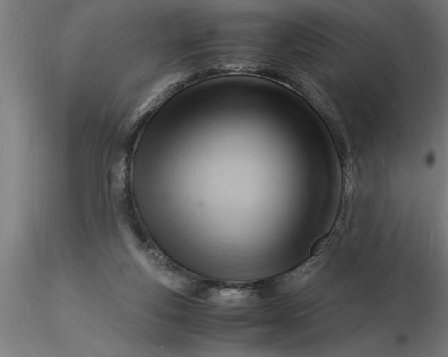 X0000116370163200912231323