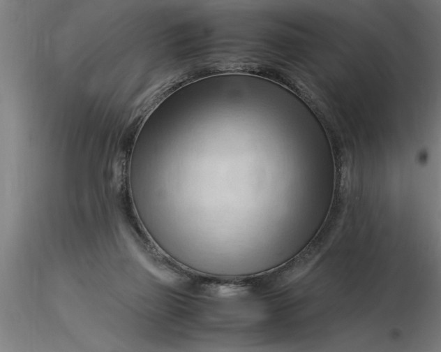 X0000116370165200912231323