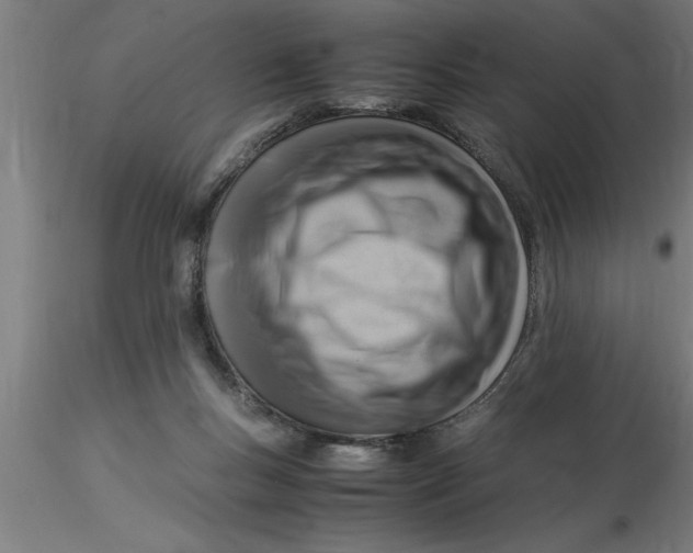 X0000116370167200912231323