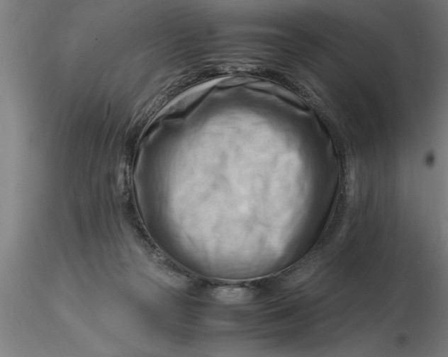 X0000116370169200912231323