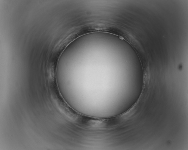 X0000116370170200912231323