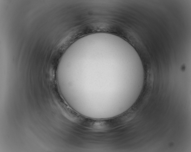 X0000116370173200912231323