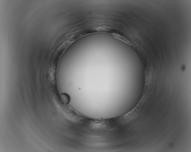 X0000116370175200912231323