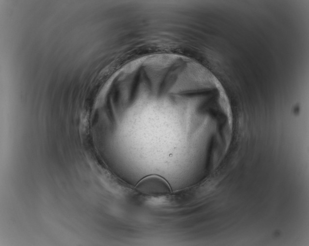 X0000116370177200912231323