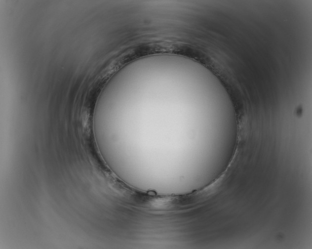 X0000116370178200912231323