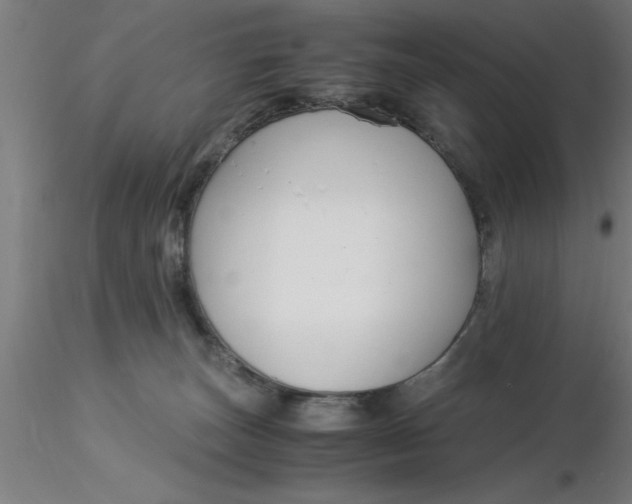 X0000116370179200912231323