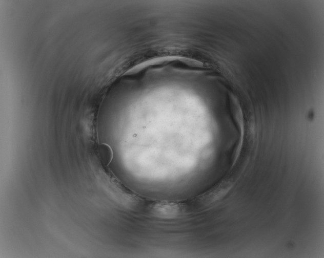 X0000116370181200912231323