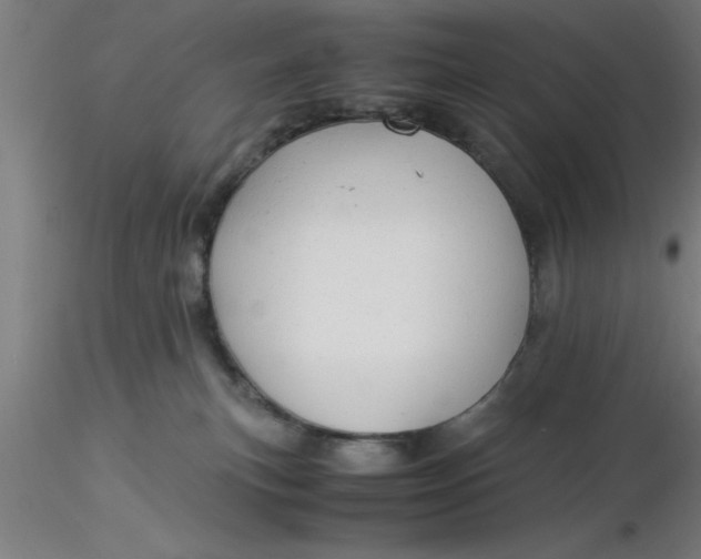 X0000116370183200912231323