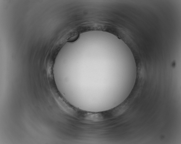 X0000116370185200912231323