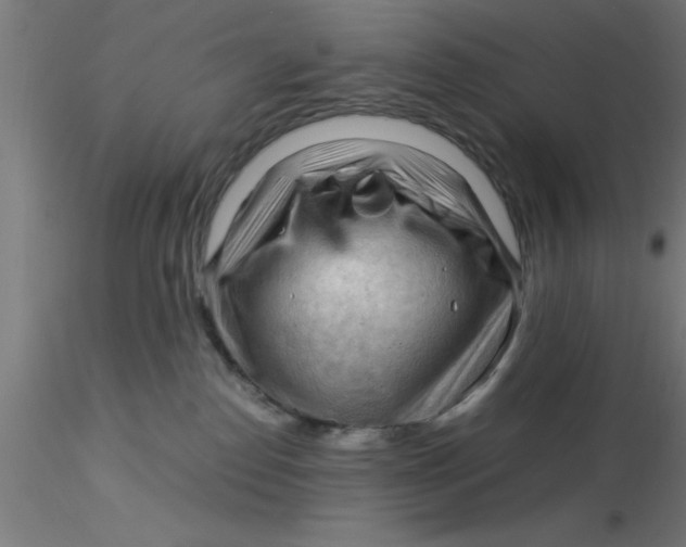 X0000116370186200912231323