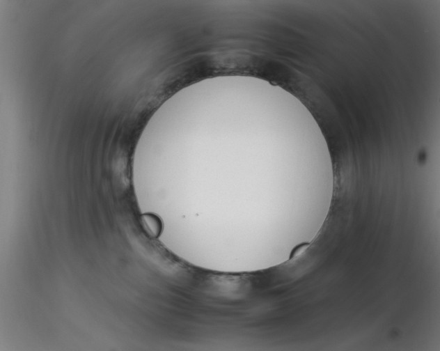 X0000116370187200912231323