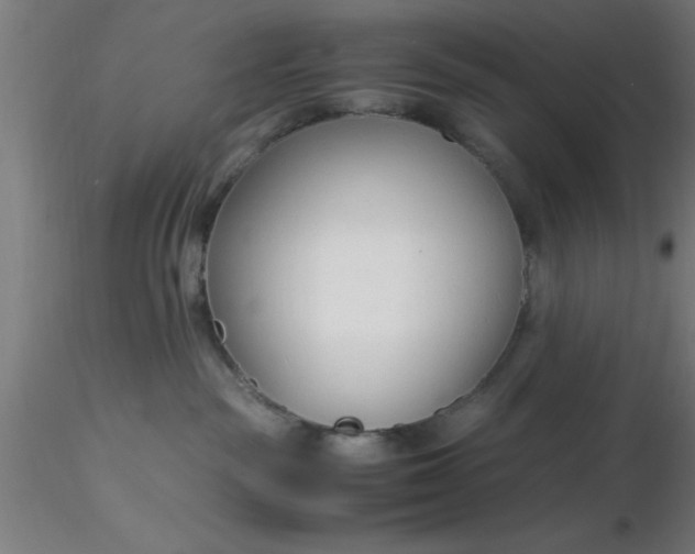 X0000116370189200912231323