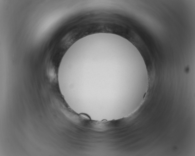 X0000116370191200912231323