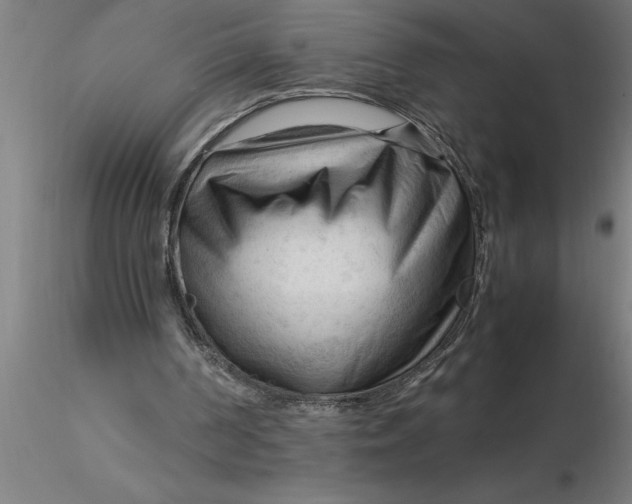 X0000116370194200912231323