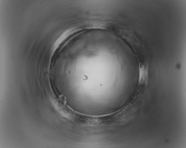 X0000116370195200912231323