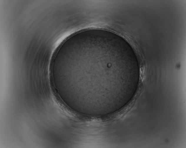 X0000116370196200912231323