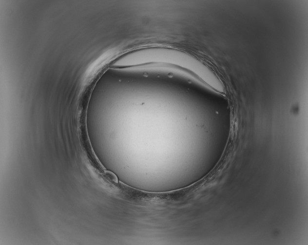 X0000116370197200912231323