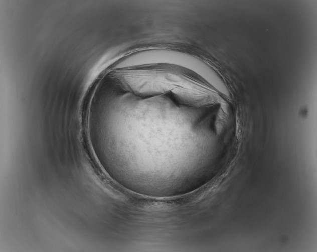 X0000116370198200912231323