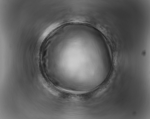 X0000116370199200912231323