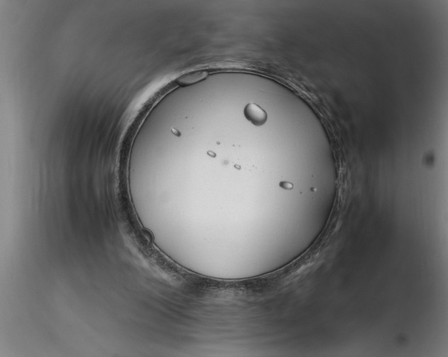 X0000116370200200912231323