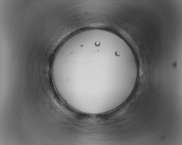 X0000116370201200912231323