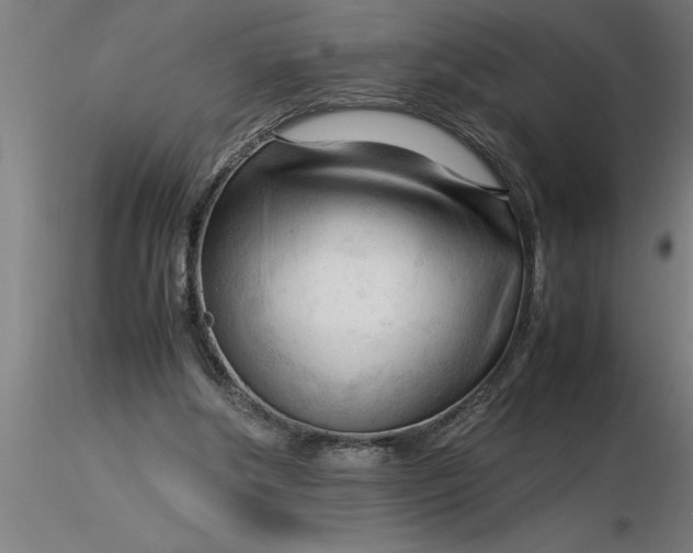 X0000116370202200912231323