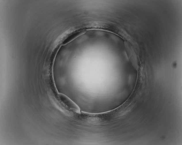 X0000116370203200912231323