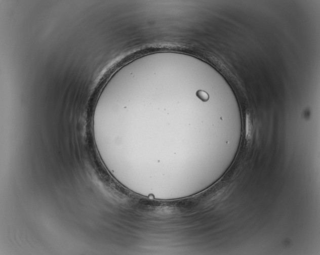 X0000116370204200912231323