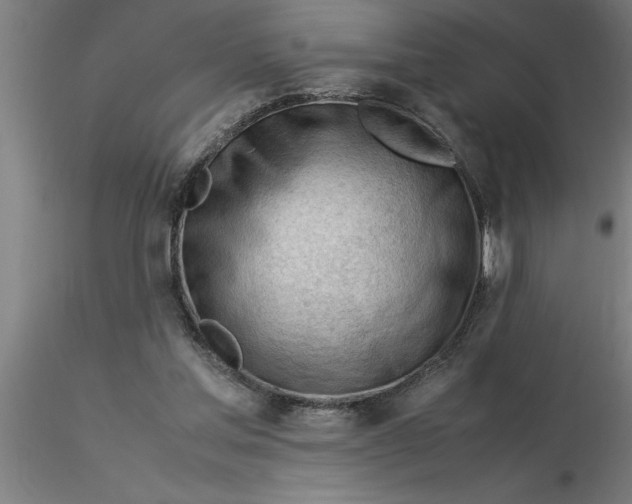 X0000116370205200912231323