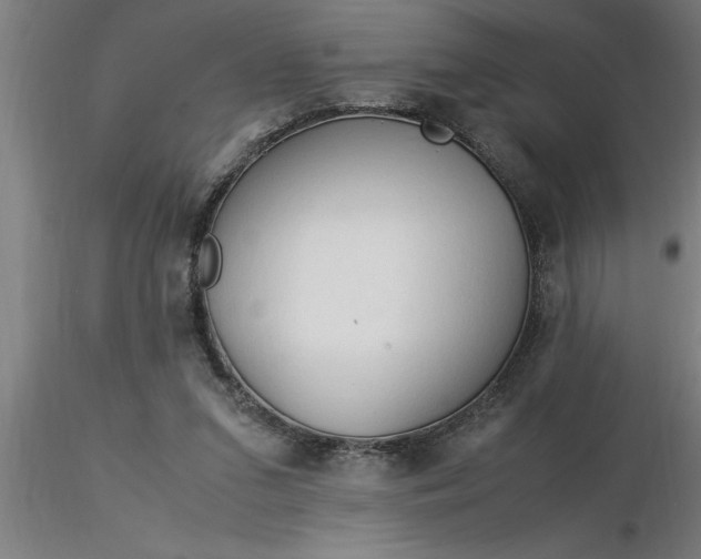 X0000116370207200912231323