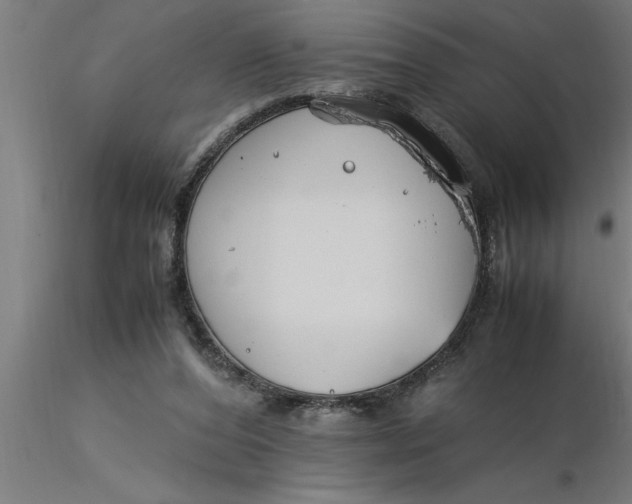 X0000116370208200912231323