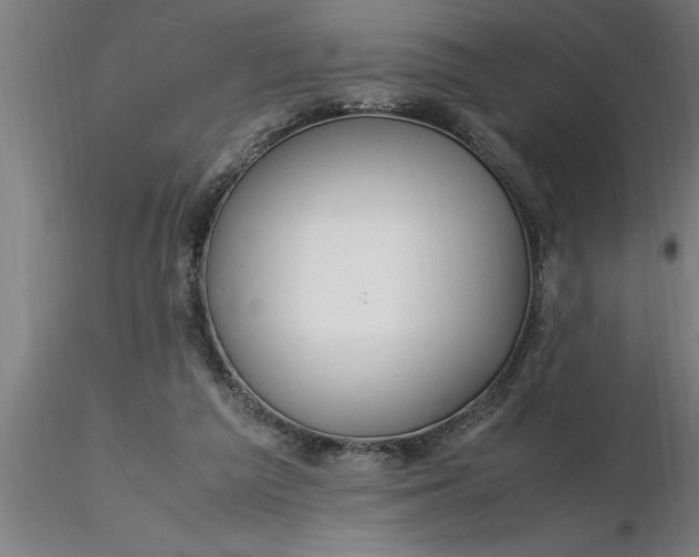 X0000116370209200912231323