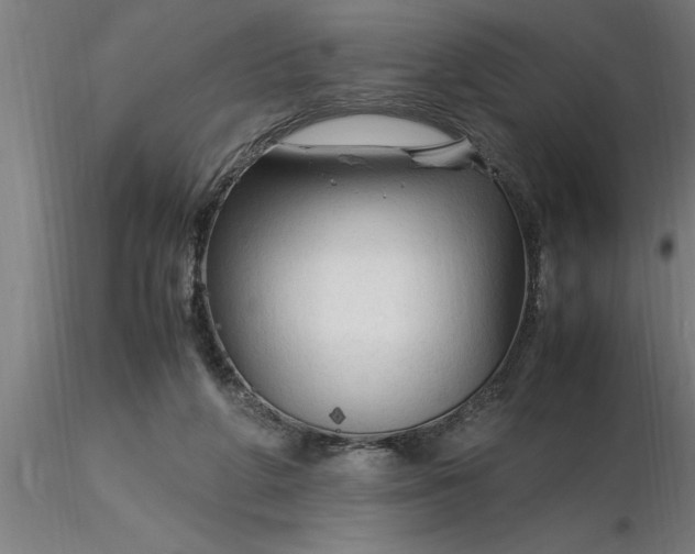 X0000116370210200912231323