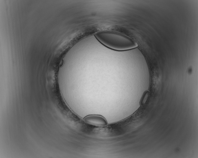 X0000116370211200912231323