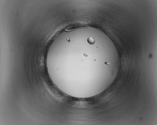 X0000116370212200912231323