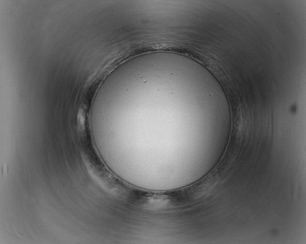 X0000116370214200912231322